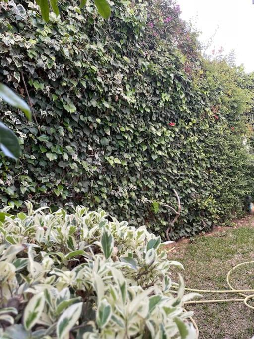 Etage De Villa Avec Jardin, Pres De L'Aireport Et Parking Prive Arjána Kültér fotó