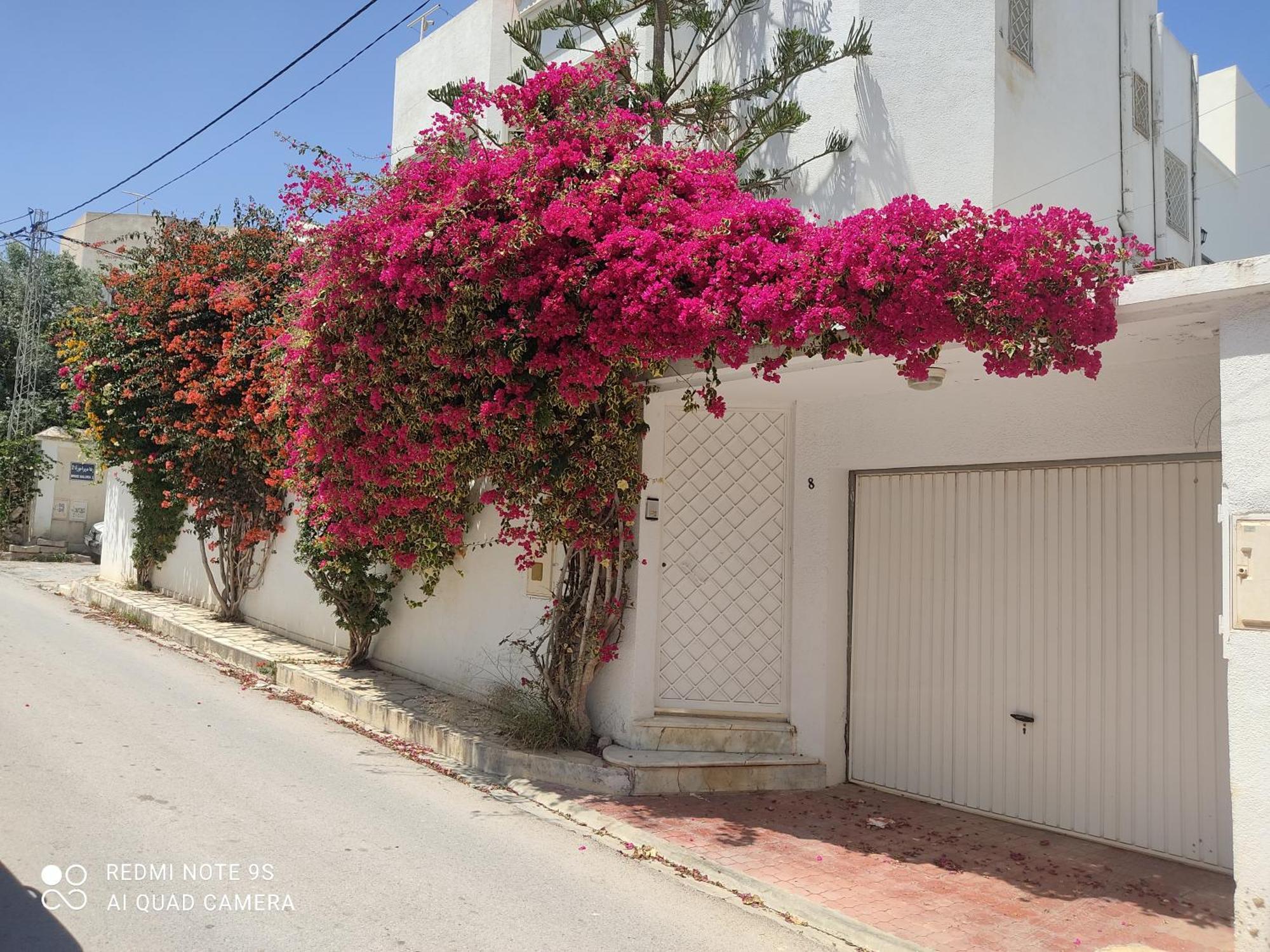 Etage De Villa Avec Jardin, Pres De L'Aireport Et Parking Prive Arjána Kültér fotó