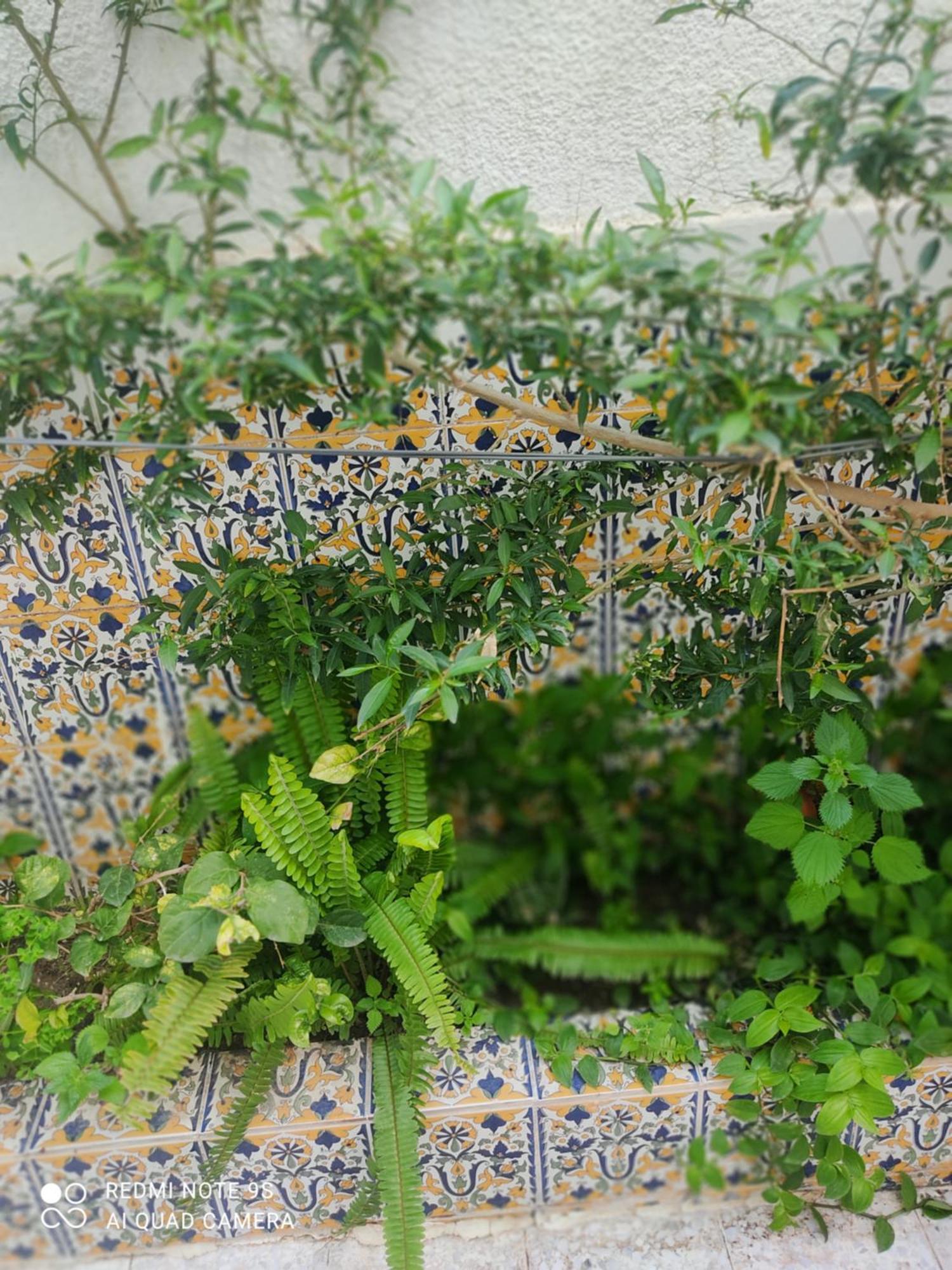 Etage De Villa Avec Jardin, Pres De L'Aireport Et Parking Prive Arjána Kültér fotó